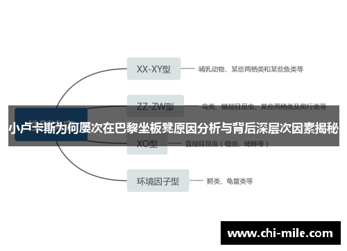 小卢卡斯为何屡次在巴黎坐板凳原因分析与背后深层次因素揭秘 小卢卡斯为何屡次在巴黎坐板凳原因分析与背后深层次因素揭秘