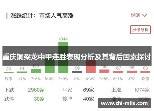 重庆铜梁龙中甲连胜表现分析及其背后因素探讨 重庆铜梁龙中甲连胜表现分析及其背后因素探讨