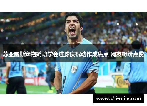 苏亚雷斯宠物鹦鹉学会进球庆祝动作成焦点 网友纷纷点赞 苏亚雷斯宠物鹦鹉学会进球庆祝动作成焦点 网友纷纷点赞