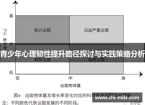 青少年心理韧性提升路径探讨与实践策略分析